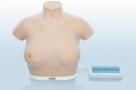 電子乳腺癌觸診、視診訓(xùn)練模型