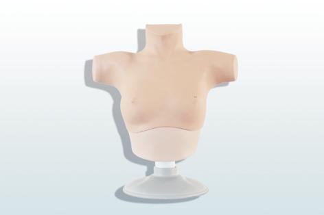 乳腺癌觸診、視診訓(xùn)練模型